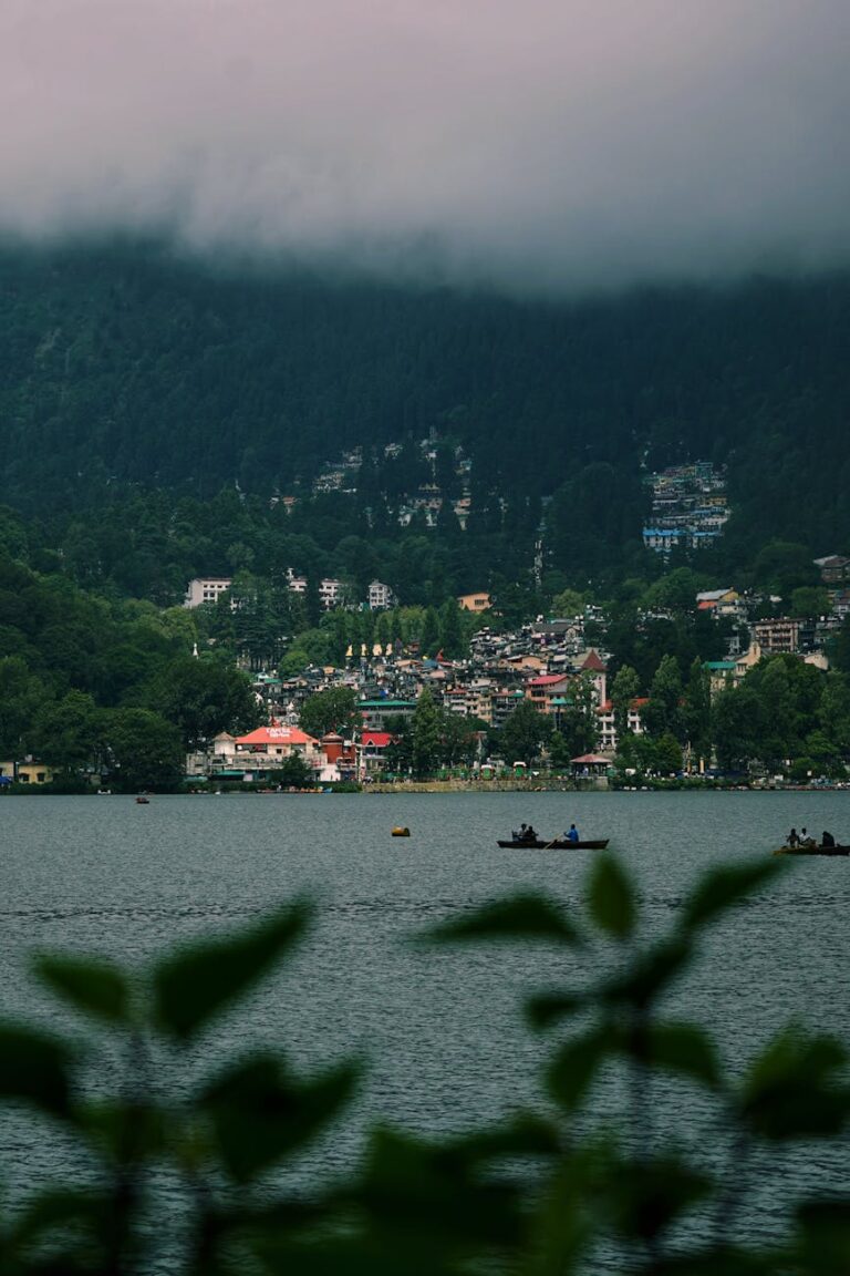 nanital