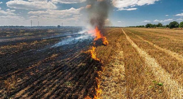 SC News: पराली से प्रदूषण एक स्थायी राष्ट्रीय संकट बन चुका है, फिर भी सुप्रीम कोर्ट ने क्यूं याचिका की खारिज, समझें 8 stubble burning