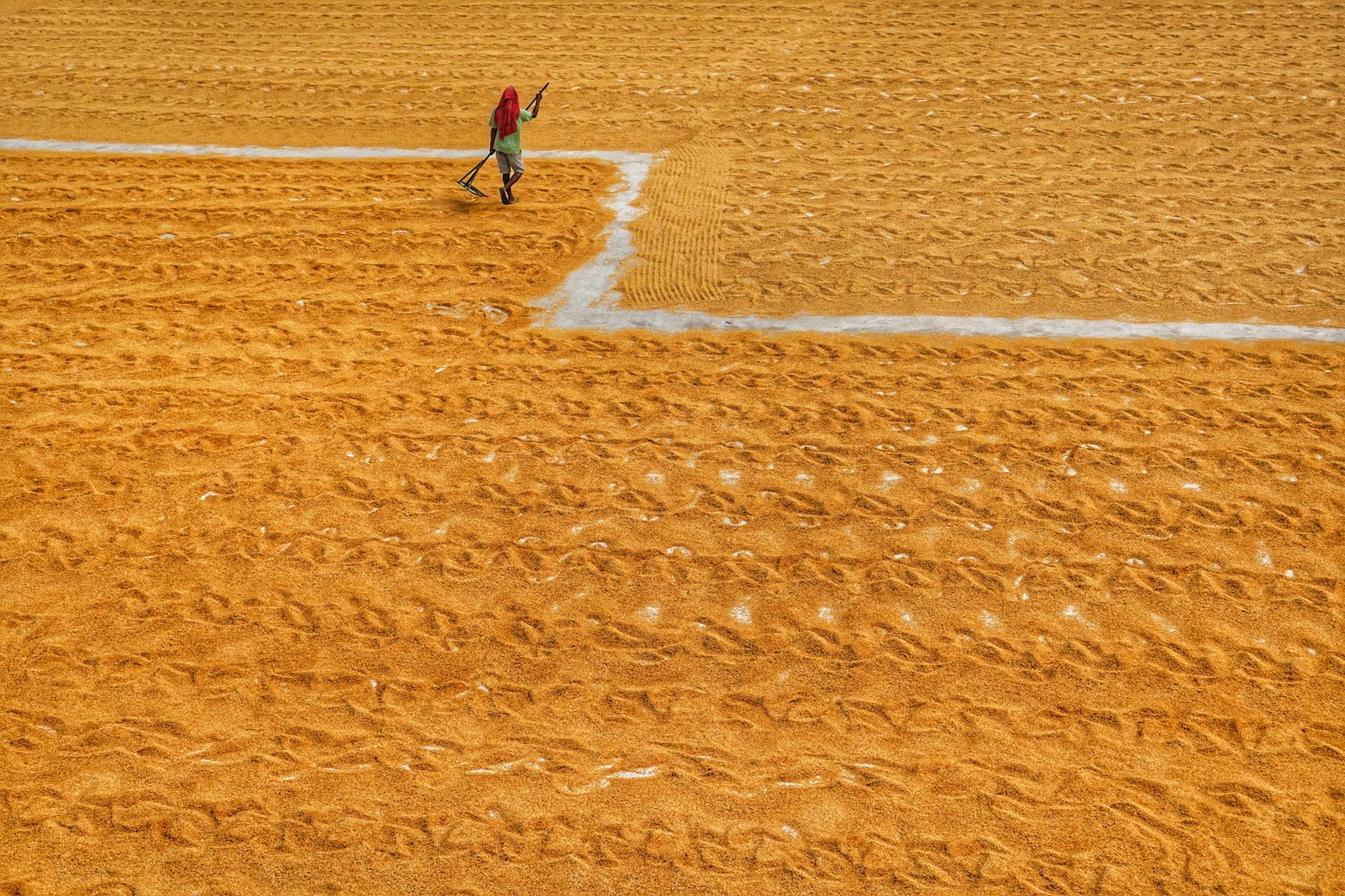 Agricultural Land in India