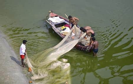 Fishermen cast a net in the Ganga river at Prayagraj